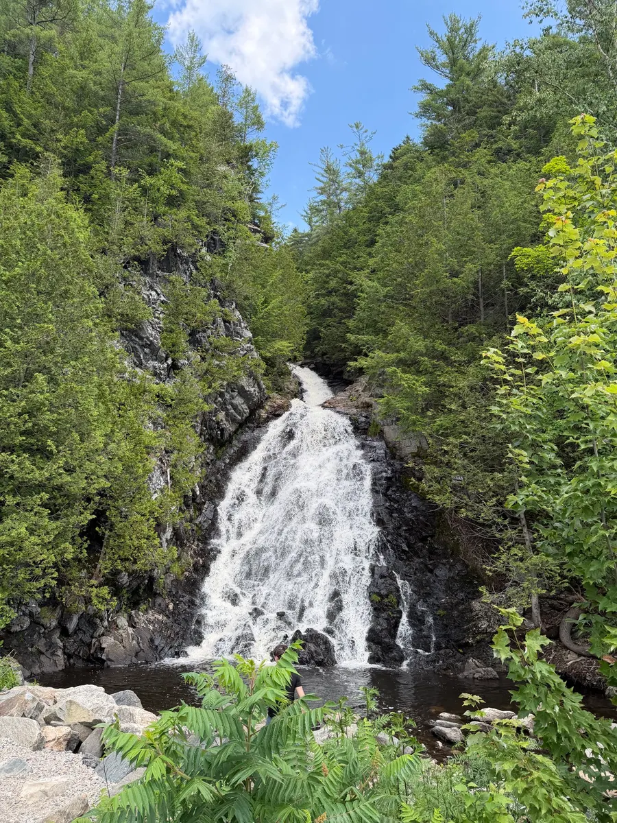 A backcountry waterfall surrounded by green North Country forest